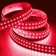 5m Single Color LED Strip Light - Eco Series Tape Light - Dual Row - 24V - IP20