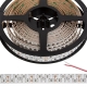 5m Single Color LED Strip Light - Eco Series Tape Light - Dual Row - 24V - IP20