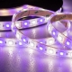 5m RGB+W LED Strip Light - Submersible LED Tape Light - 24V - IP68 Submersible