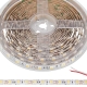 5m White LED Strip Light - Radiant Series LED Tape Light - 12V/24V - IP20