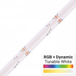 5m ColorBright™ RGB + Dynamic Tunable White COB LED Strip Light - COB Series Color-Changing LED Tape Light - 24V - IP20