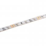 5m Single Color Weatherproof LED Strip Light - Eco Series Tape Light - IP64 - 12V/24V