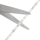 5m White LED Strip Light - HighLight Series Tape Light - High CRI - 12V/24V - IP20