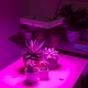 65W Full-Spectrum LED Grow Light - 5-Band Red/Blue/UV/IR/White for Indoor Plant Growth