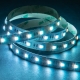 5m RGB+CCT LED Strip Light - Color-Changing LED Tape Light - 24V - IP20