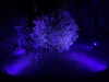 FUTC08A MiBoxer RGB+CCT Smart LED Garden Light Kit Set