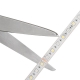 5m RGB+W LED Strip Light - Submersible LED Tape Light - 24V - IP68 Submersible