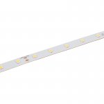 36V White LED Strip Light - High CRI - HighLight Series Tape Light - IP20 - 5m / 30m