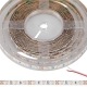 Custom Length Single Color LED Strip Light - Eco Series Tape Light - 24V - IP20 - 250 lm/ft