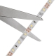 5m White LED Strip Light - Eco Series Tape Light - 12V/24V - IP54 Weatherproof