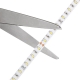 Custom Length Single Color LED Strip Light - Highlight Series Tape Light - 24V - IP20 - 310 lm/ft － 1 Meters