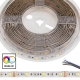 5m RGB+W LED Strip Light - Color-Changing LED Tape Light - 12V/24V - IP54 Weatherproof