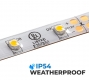 5m White LED Strip Light - Eco Series Tape Light - 12V/24V - IP54 Weatherproof