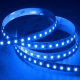 Custom Length Single Color LED Strip Light - Highlight Series Tape Light - 24V - IP20 - 310 lm/ft － 1 Meters