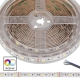 5m RGB+W LED Strip Light - Color-Changing LED Tape Light - 12V/24V - IP20