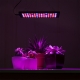 10W Full-Spectrum LED Grow Light - 4-Band Red/Blue/UV/IR for Indoor Plant Growth