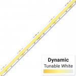 5m UltraBright™ Dynamic Tunable White Series COB LED Strip Light - COB Series LED Tape Light - 24V - IP20 - NEW Updated Version CRI90+