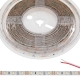 5m White LED Strip Light - Eco Series Tape Light - 12V/24V - IP54 Weatherproof