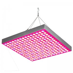 30W LED Grow Light - 2-Band Red/Blue for Indoor Plant Growth