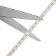 5m White LED Strip Light - Radiant Series LED Tape Light - 24V - IP68